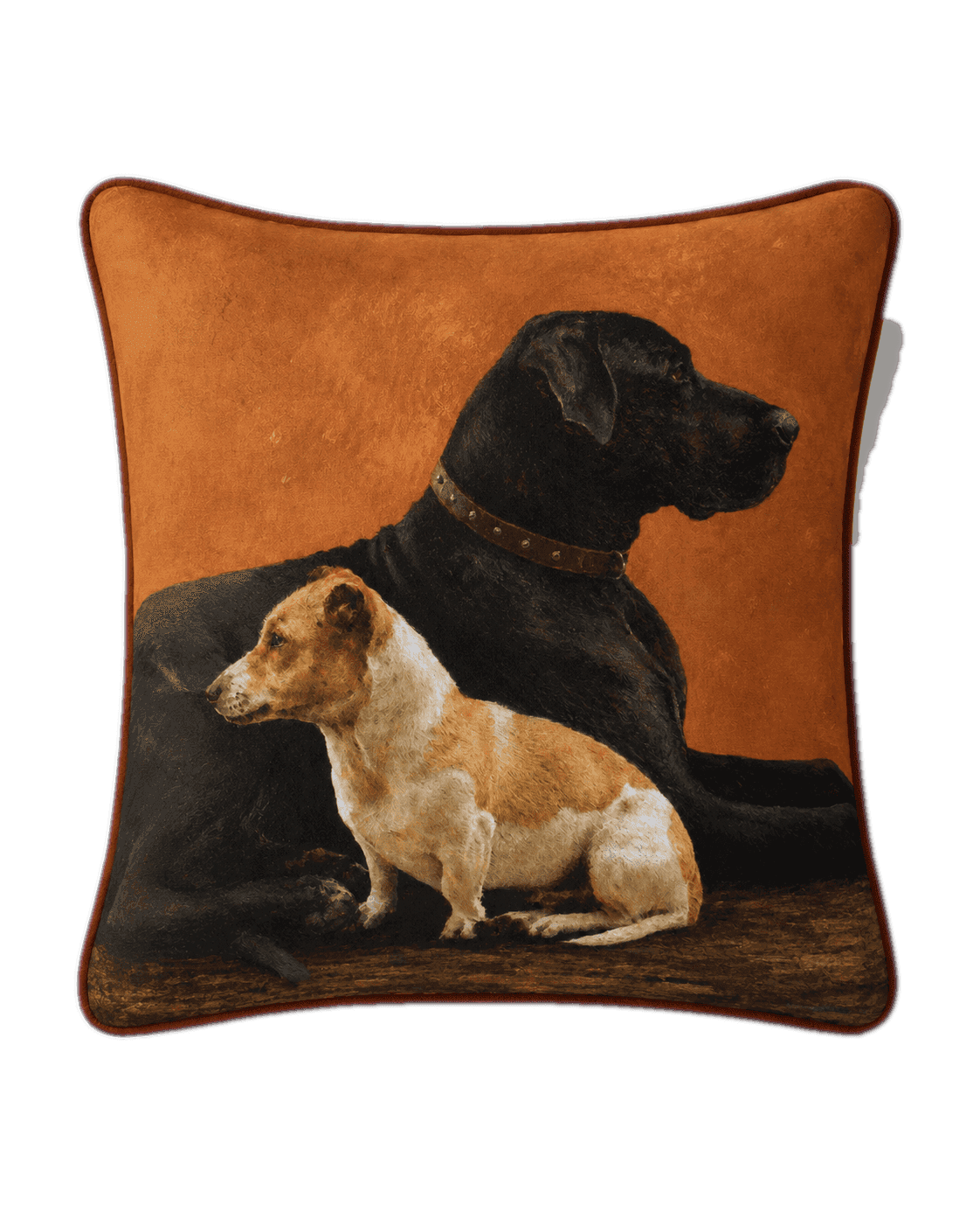 Cushions — Design 16